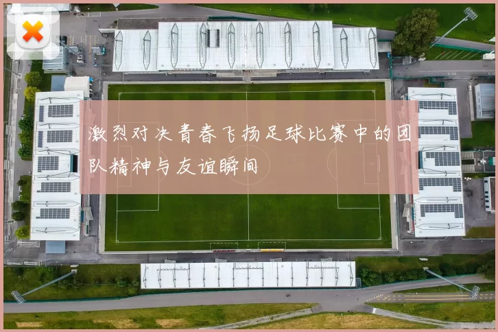 激烈对决青春飞扬足球比赛中的团队精神与友谊瞬间