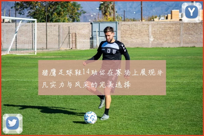 猎鹰足球鞋14助你在赛场上展现非凡实力与风采的完美选择